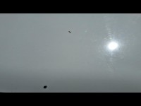 Condition Image