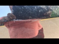 Condition Image